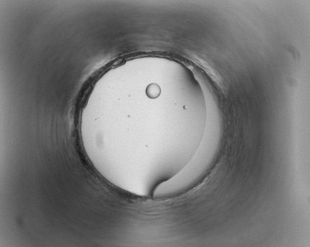 X0000116551261201001071109