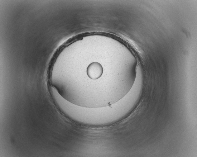 X0000116551264201001071109