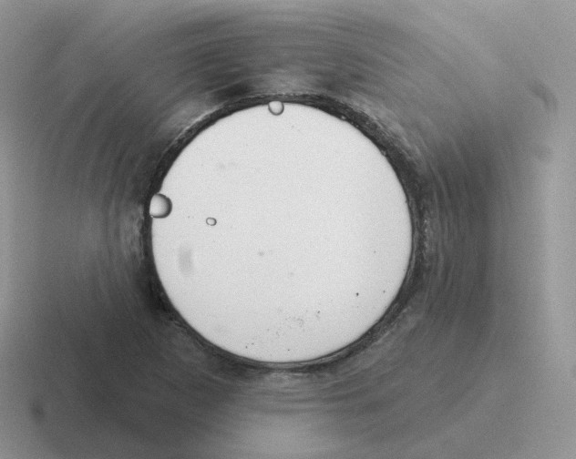 X0000116551265201001071109