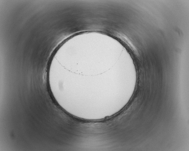 X0000116551268201001071109