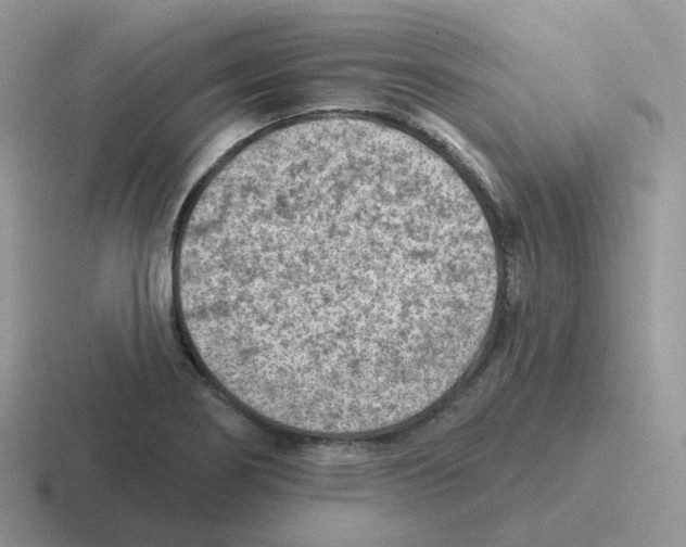 X0000116551274201001071109