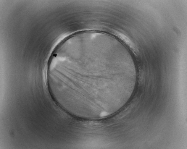 X0000116551275201001071109