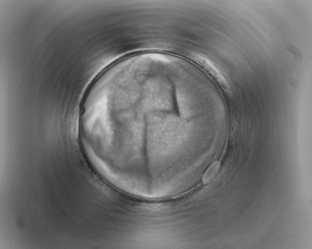 X0000116551276201001071109