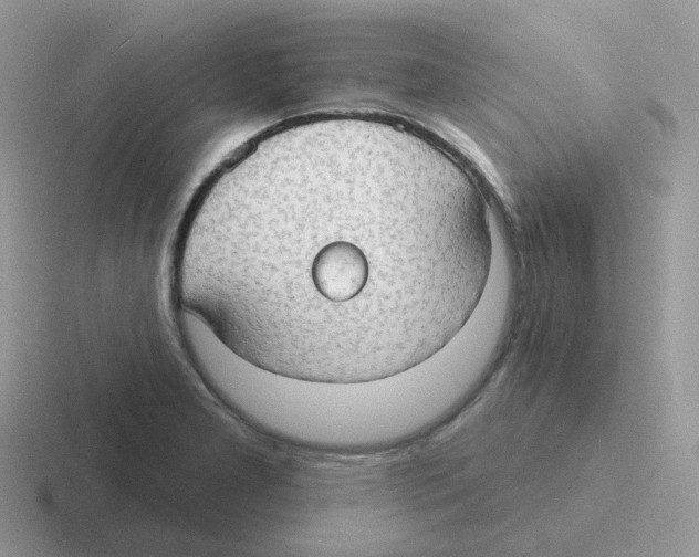 X0000116551277201001071109