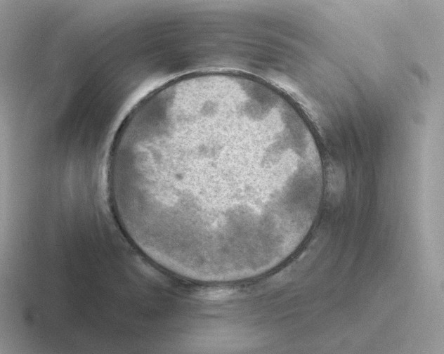 X0000116551278201001071109