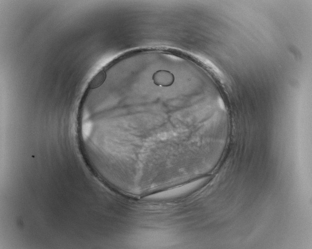 X0000116551279201001071109