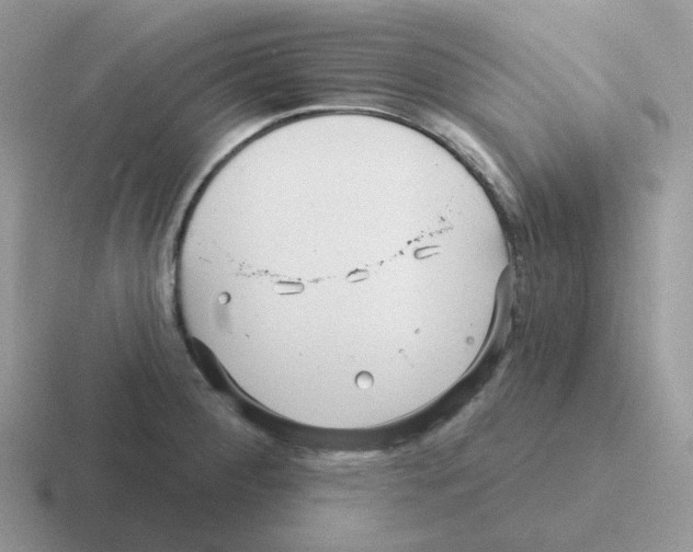 X0000116551284201001071109