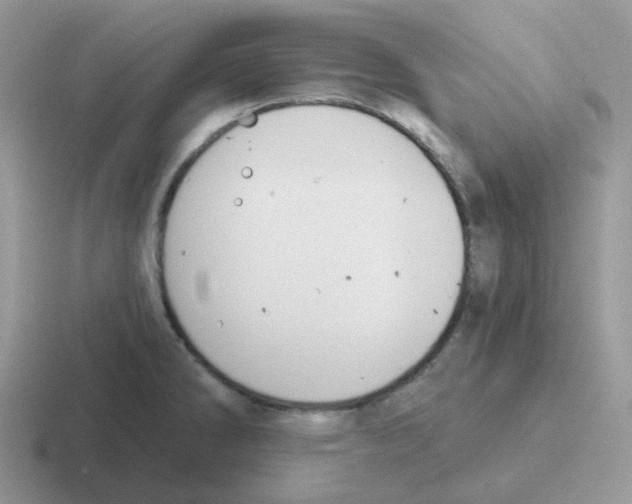 X0000116551286201001071108