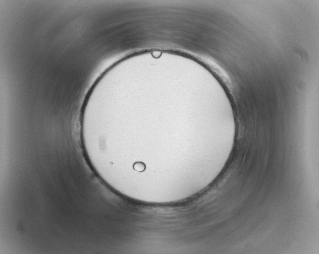 X0000116551287201001071108