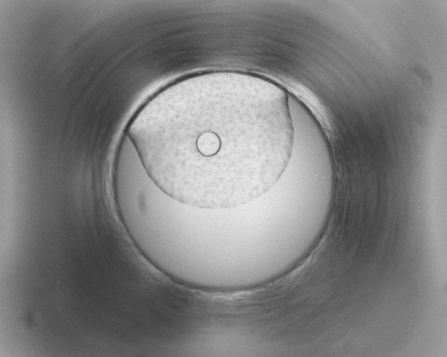 X0000116551288201001071108