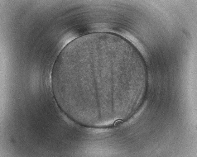 X0000116551289201001071108