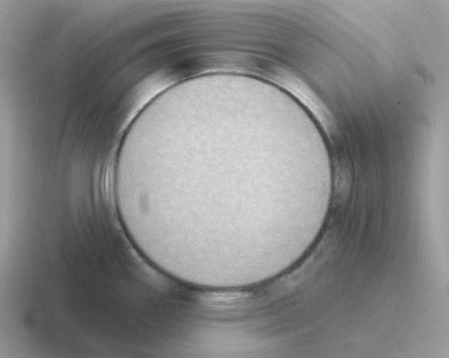 X0000116551290201001071108