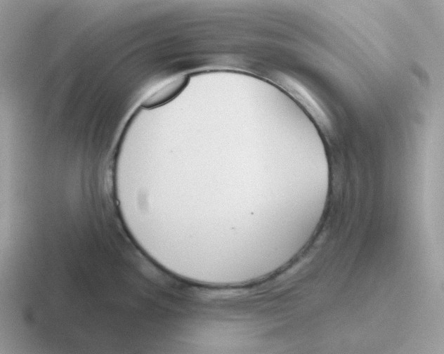 X0000116551292201001071108