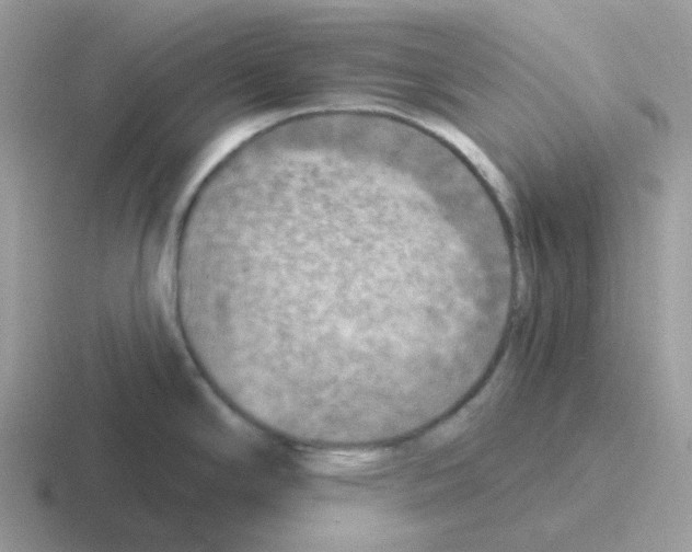 X0000116551294201001071108