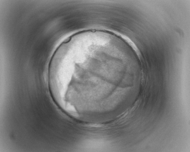 X0000116551295201001071108