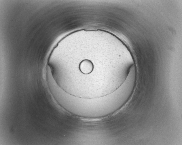 X0000116551296201001071108