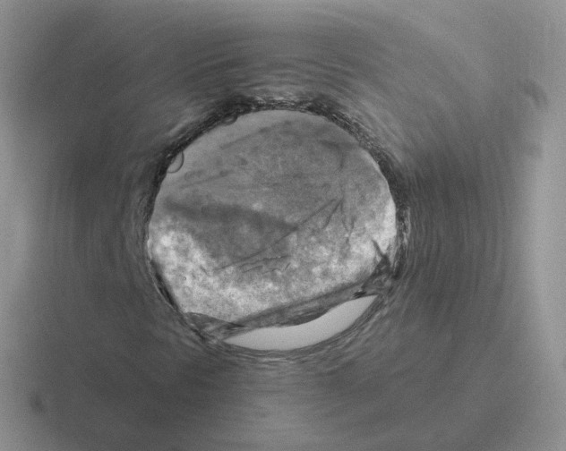 X0000116551297201001071108