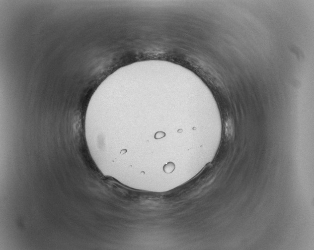 X0000116551299201001071108