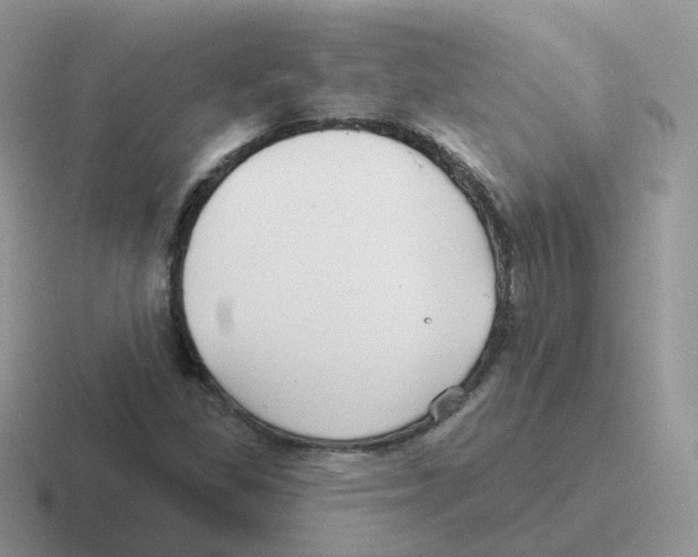 X0000116551309201001071108