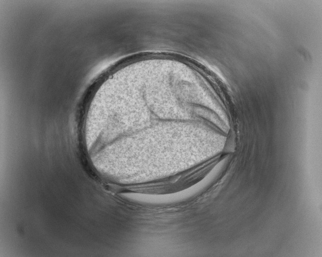 X0000116551311201001071108