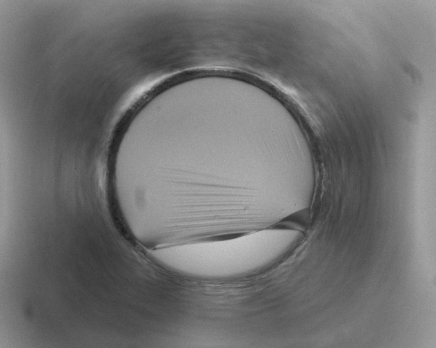 X0000116551319201001071108