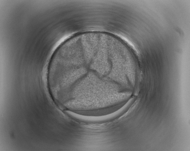 X0000116551325201001071108