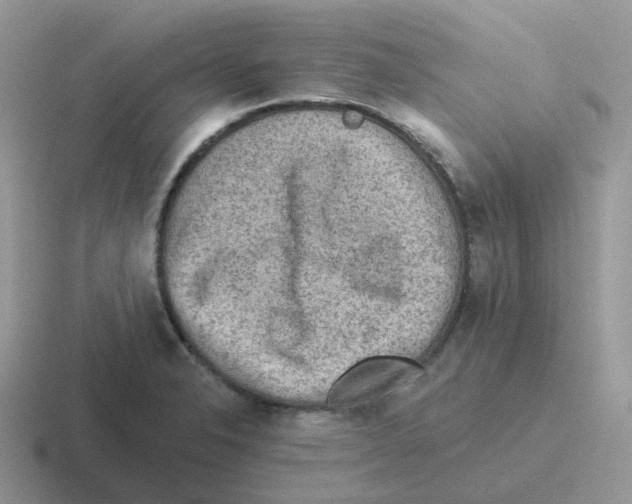 X0000116551326201001071108