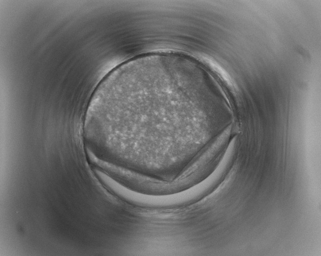 X0000116551329201001071108