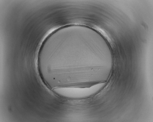 X0000116551331201001071108