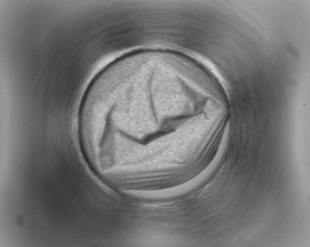 X0000116551335201001071108