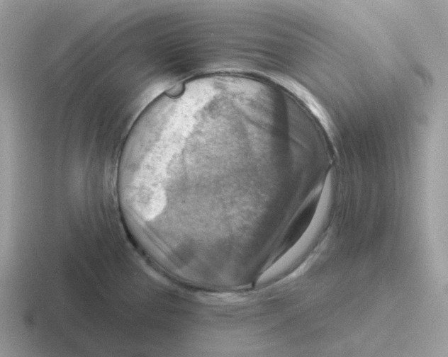 X0000116551337201001071108