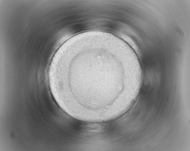 X0000116551338201001071108