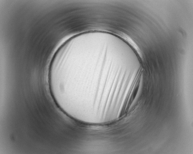 X0000116551339201001071108