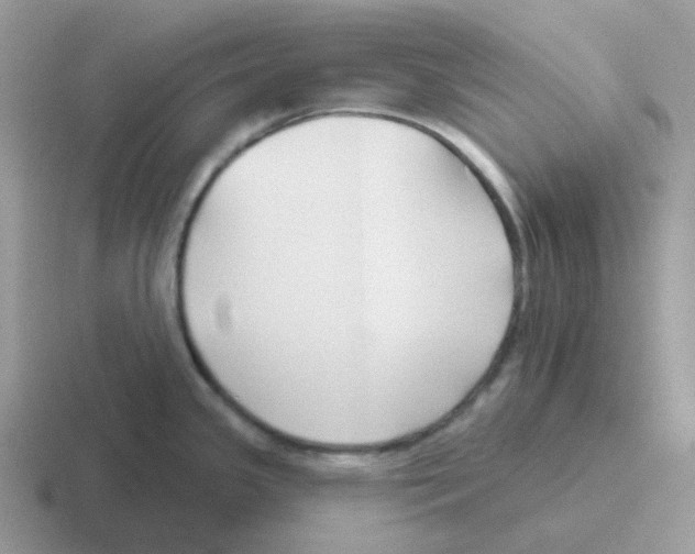 X0000116551341201001071108