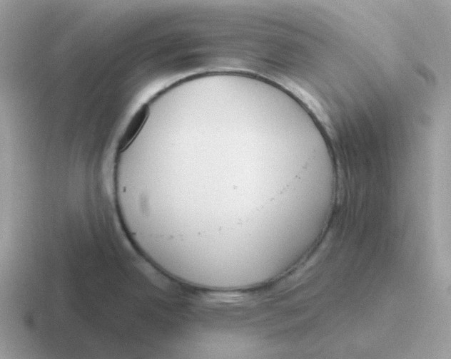 X0000116551342201001071108