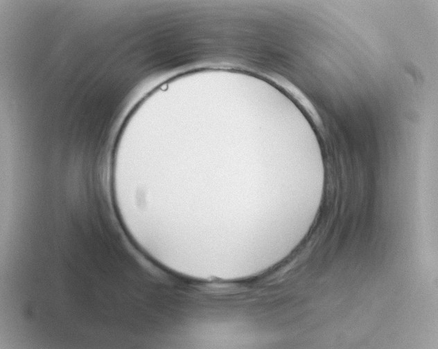 X0000116551343201001071108