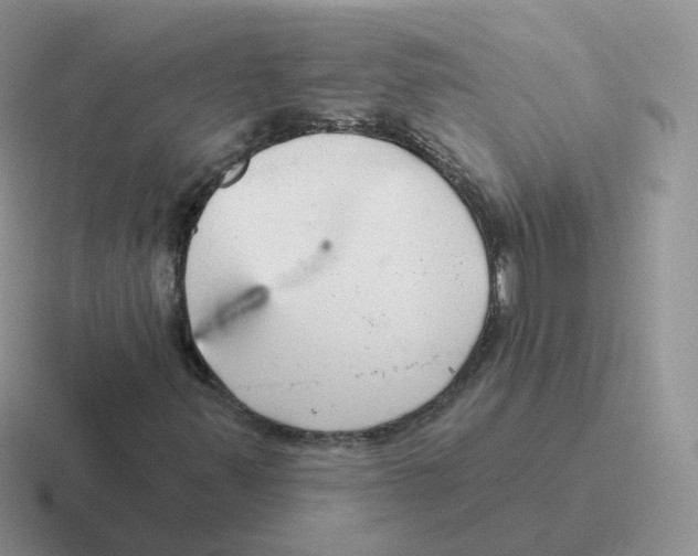 X0000116551347201001071108