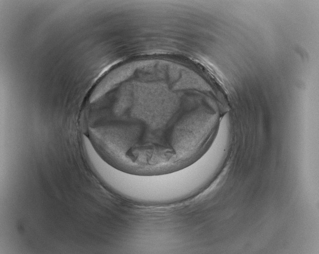 X0000116551353201001071108