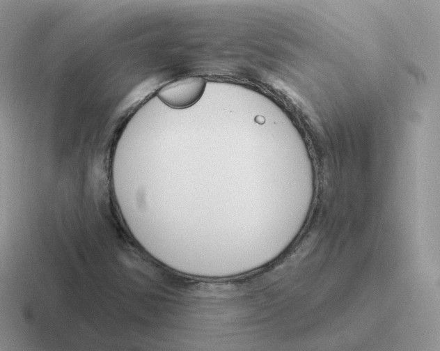 X0000116551354201001071108