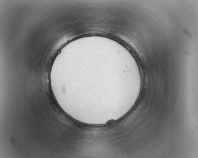 X0000116551355201001071108