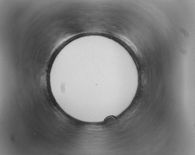 X0000116551356201001071108