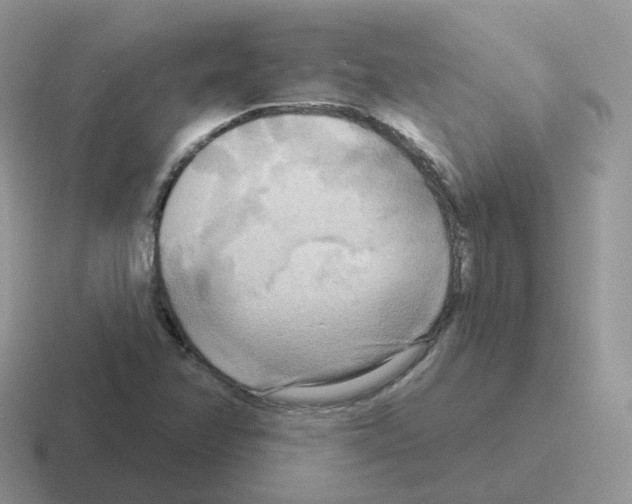 X0000116551358201001071108