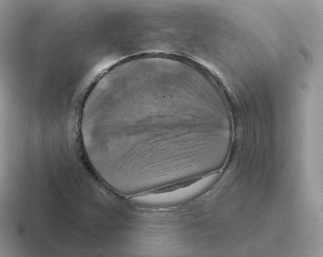 X0000116551359201001071108