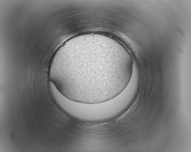 X0000116551361201001071108