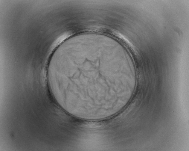 X0000116551362201001071108