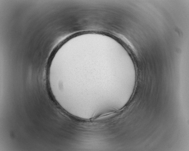 X0000116551364201001071108