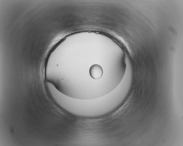 X0000116551365201001071107