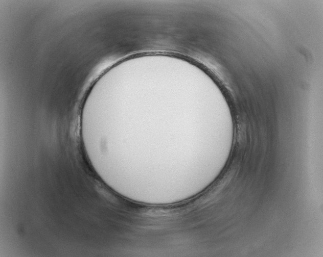 X0000116551366201001071107