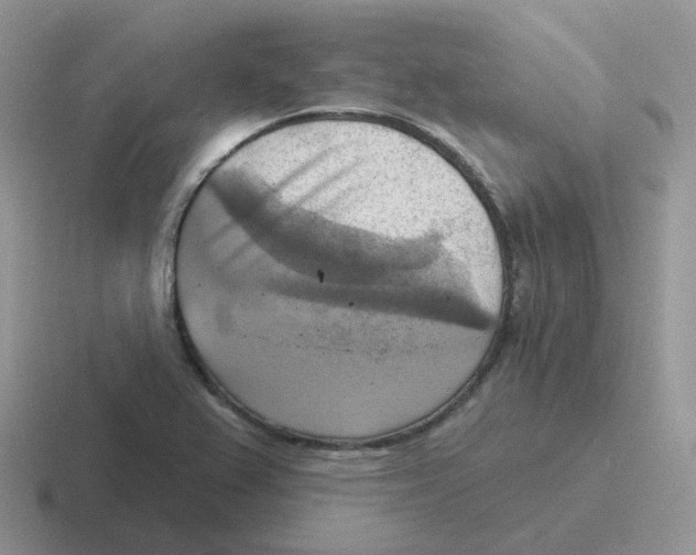 X0000116551367201001071107