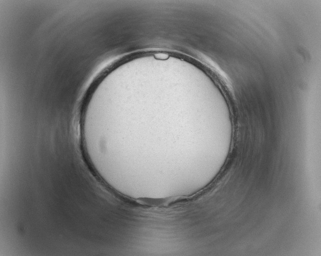 X0000116551368201001071107